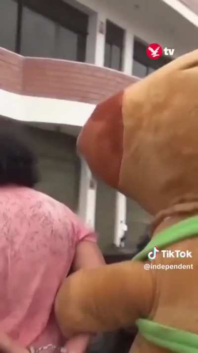 Peruvian Police Officer Wears Capybara Furry Suit During Drug Arrest