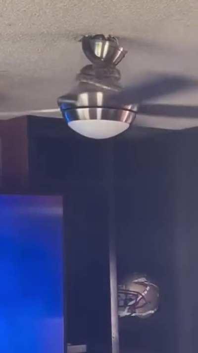Snek crawls in through a hole in the roof to go for a ride on a ceiling fan