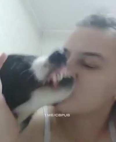 HMC while I kiss a dog.