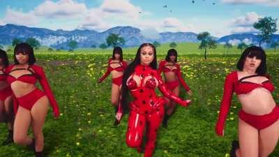 The song and video were corny but the titties were beautiful