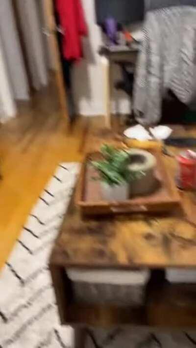 That is real enthusiasm.