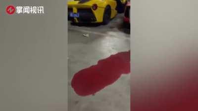 Lamborghini goes up in smoke after man tries to grill kebab using flaming exhaust