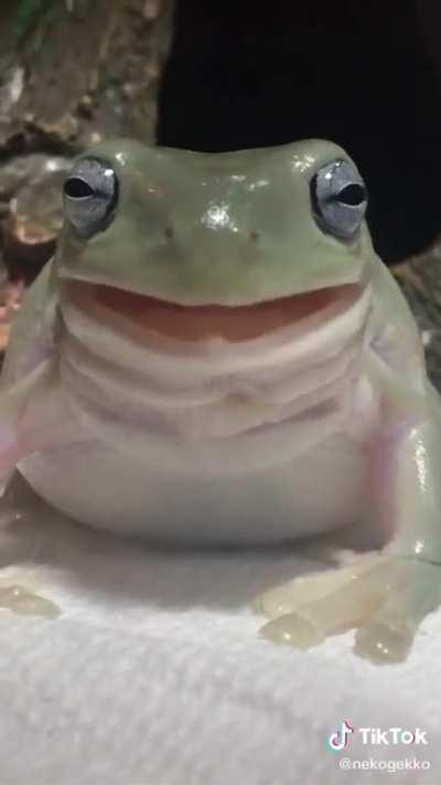 Eeugh. + Is this the wrong subreddit?