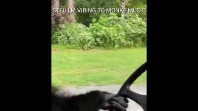 Monke Music
