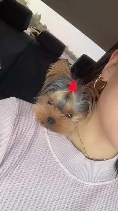 Martini & Hailee want you to Vote