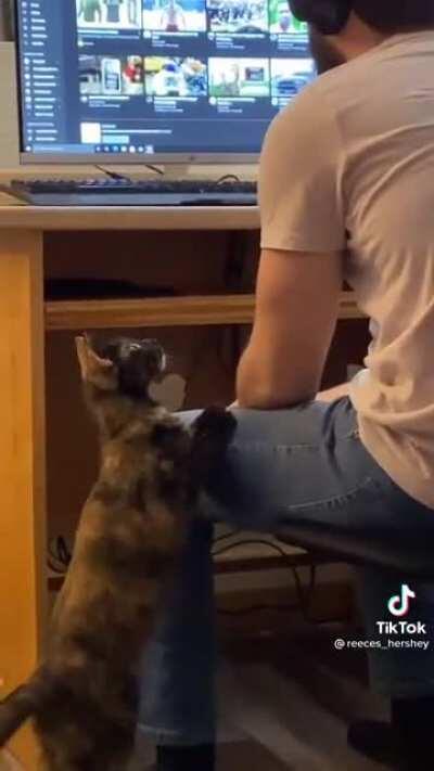 One of the few times it’s actually made me mad. He’s asking so nicely :(