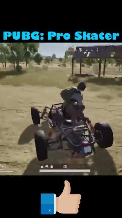 PUBG: Pro Skater