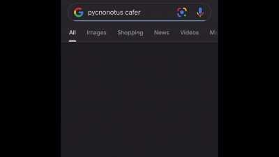 I can’t take it anymore