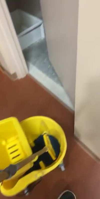 Took this back in February when you could stand a broom up