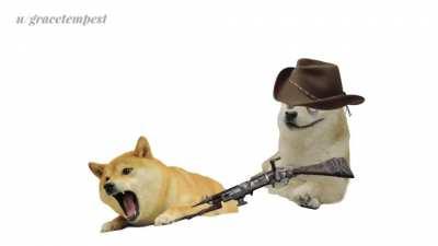 Doge by Daylight but I run out of ideas