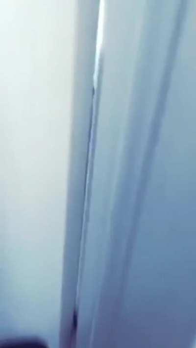 o que acabou de acontecer???? D: