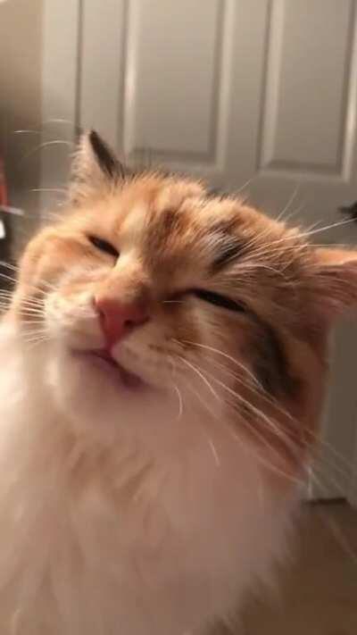 Are you hungry after hearing this?