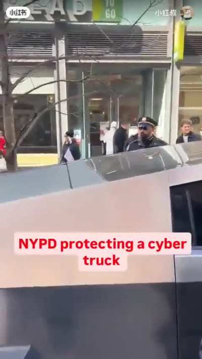 9 cops to protect 1 Swasticar