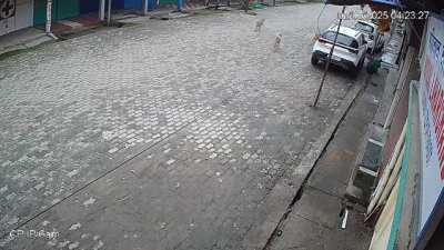 Bonoria Moh'e mohotiyale ratipua khuj karhi thakute