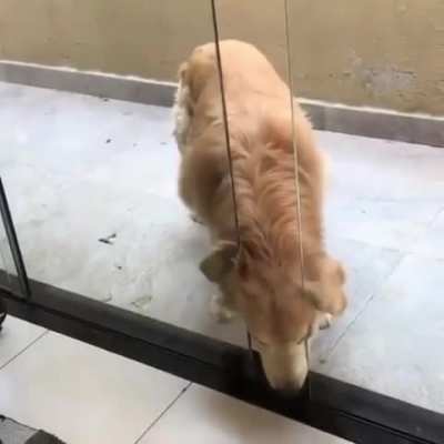 Body too plumpy to fit