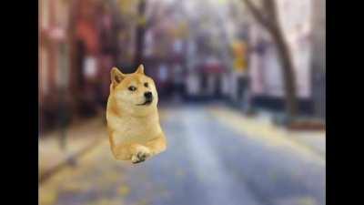 Credit to u/alterrate07 for the original post