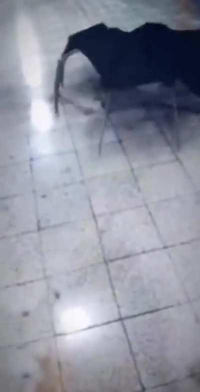 How it feels to play Work at a Pizza Place