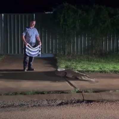 The aim was far better than the plan itself.