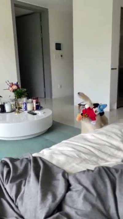 Jumped just a tad bit too early