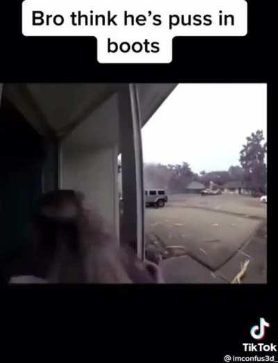 the real puss in boots