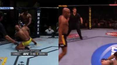 The Sad but Beautiful Story of MMA