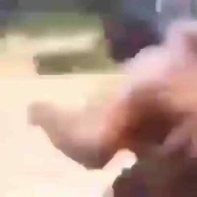 I'm 15 and this is yeet