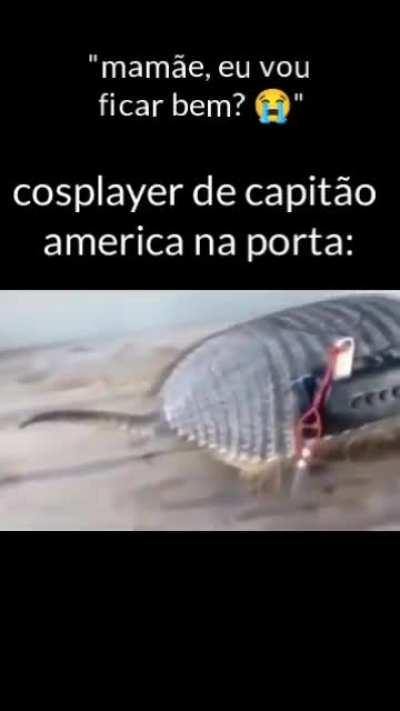 ShitpostBR - Video #8747