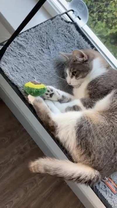 Wait! Where’d it go??