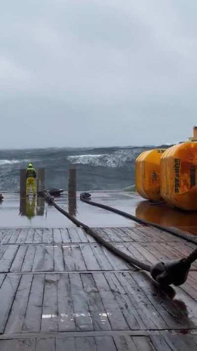 Big waves in the open ocean. From @brandal.2 on Tiktok.