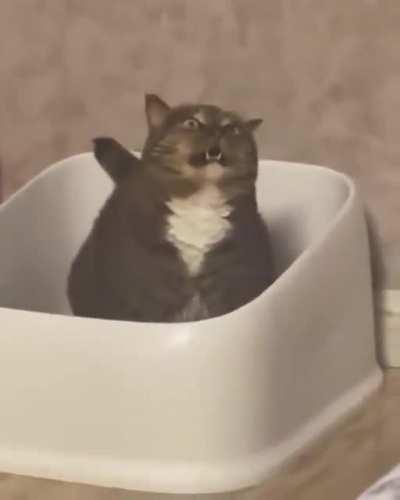 When that last piece just got out.. feels good