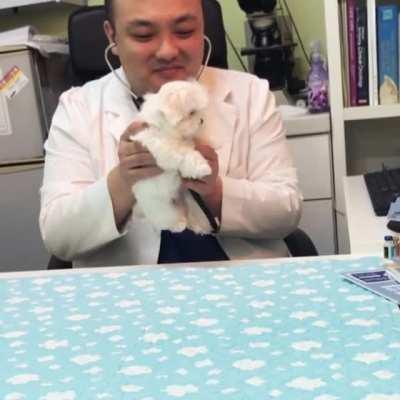 Fluffy puppy gets a checkup