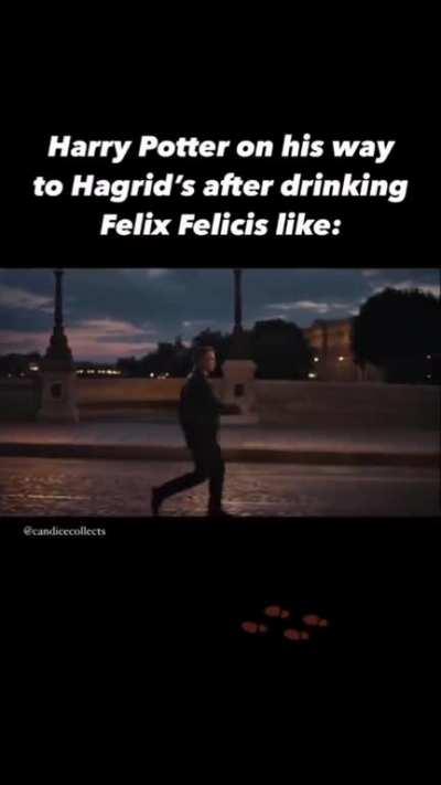 Harry high on Felix is a mood 🕺