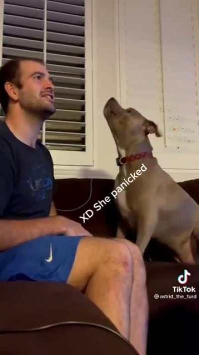 Calling your dog when it's next to you