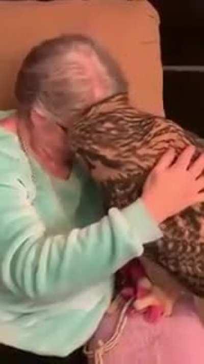 Never thought we could cuddle with an owl..