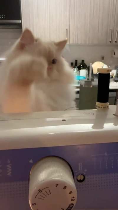 I guess I just . . . won’t sew my costume today.