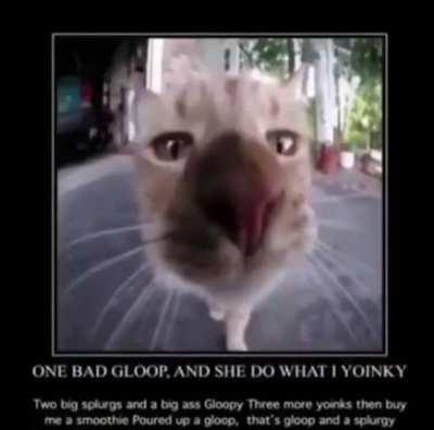 Do you yoinky the spoinky for the gloop? 