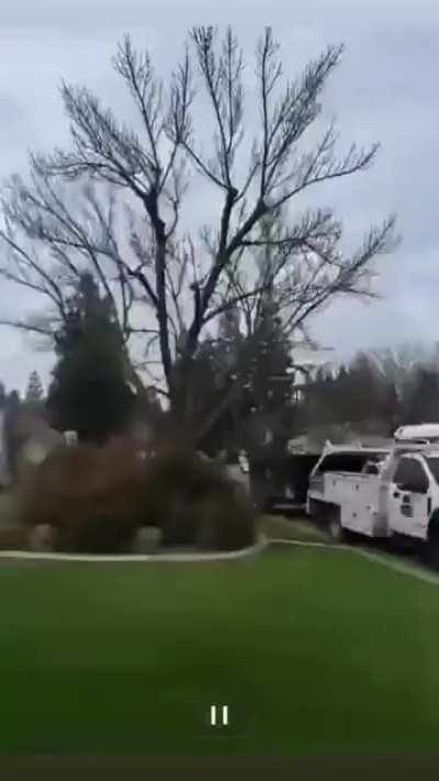 How did it survive?!