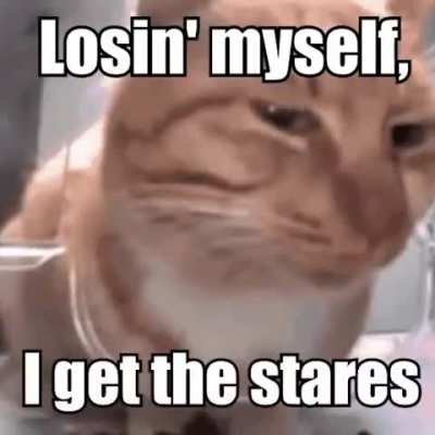 Hehehehehahahaha cats