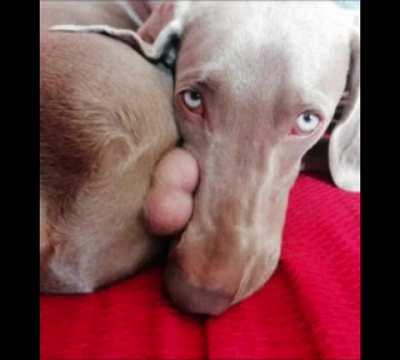 Top 10 palle 😩😩😩