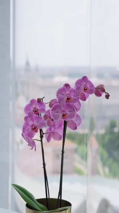 Wow 😍👌🏻🥵