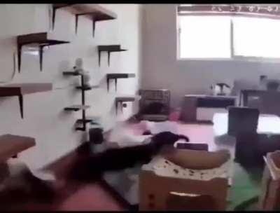 This is really catastrophic.