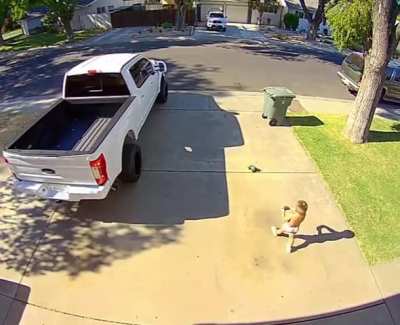 Little dude with his RC car