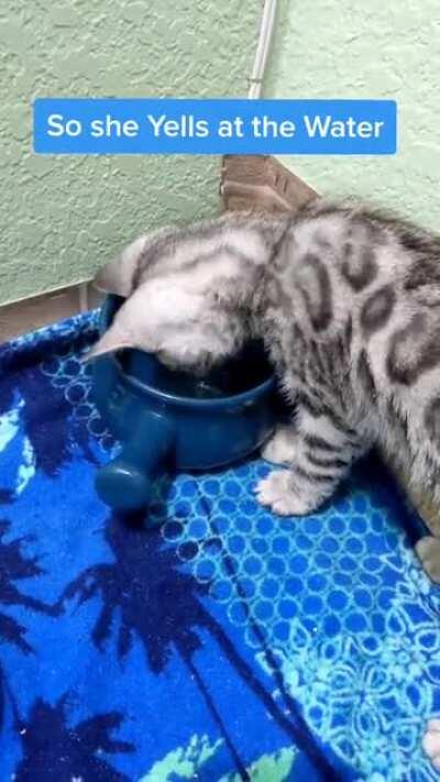 How dare you get me wet!