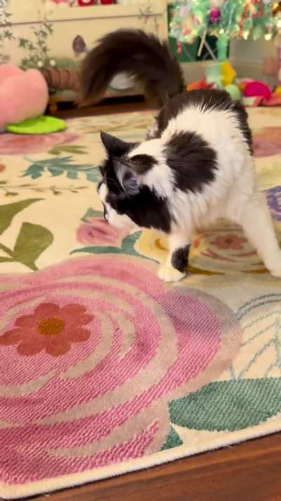 Advent calendar 2, day 22 ❤️💚