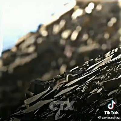 Sobreviva a todos custo...