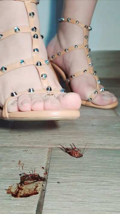 Your life will always be surrounded by cockroaches-like people: purposeless and useless... just disgusting vectors of diseases. Crush them, leave their remains behind and take the next step ✨💕