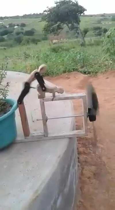 The way the wind blows