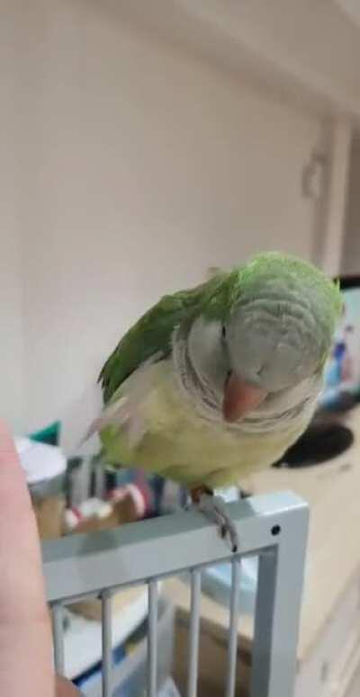 Come on Ma, high five!