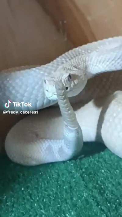 🧏🏻‍♂️🧏🏻‍♂️🧏🏻‍♂️