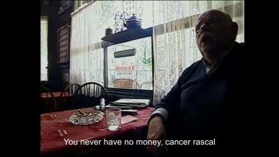 Rotterdammer wildlife documentary